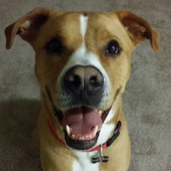 Meet your Posher, C. charles - Picture 1 of 1